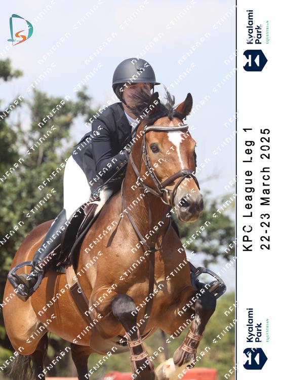 8784122 - g8mnnyzmzlbeauu