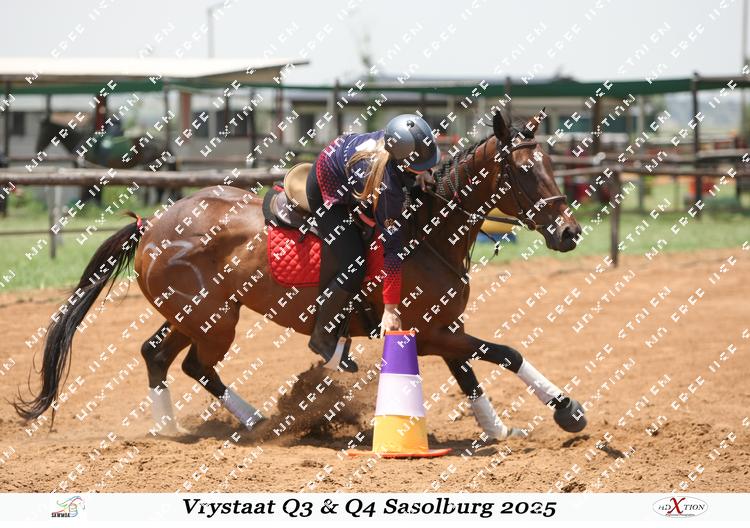 8485315 - tqi7stdanuywpyl