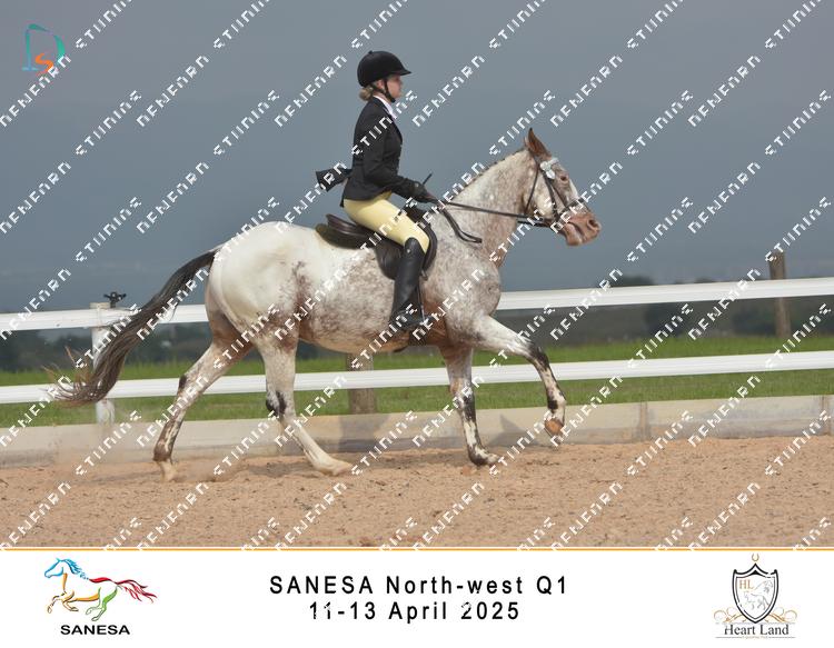 8981299 - nevkv28qarog62c