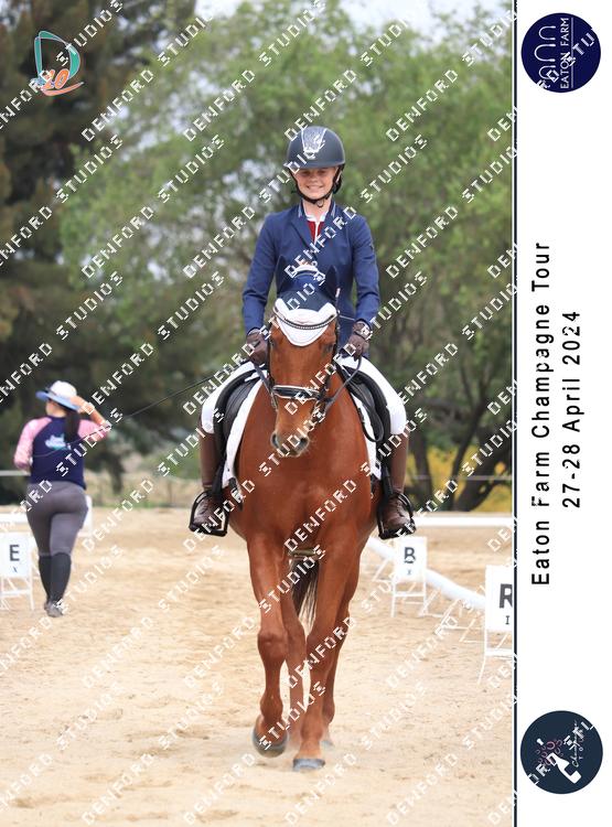 5293508 - t9teoy3tziybske