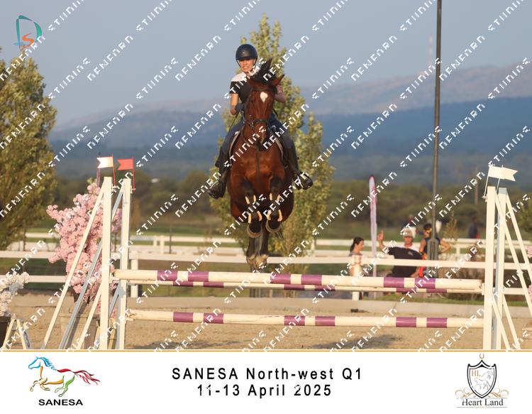 8980902 - qn6sqkjibiy4cgx
