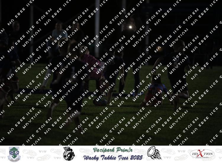 9033160 - bwwtuqnbd2b4jgn