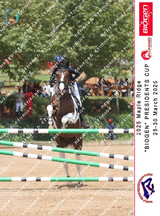 8850306 - vtt4n8cu8zamvmn