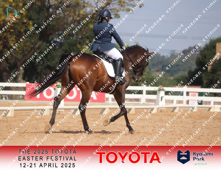 8970980 - oxaatt8gumuyrir