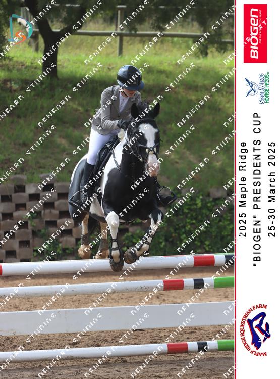 8841801 - 3okedxfb6r2q3ak