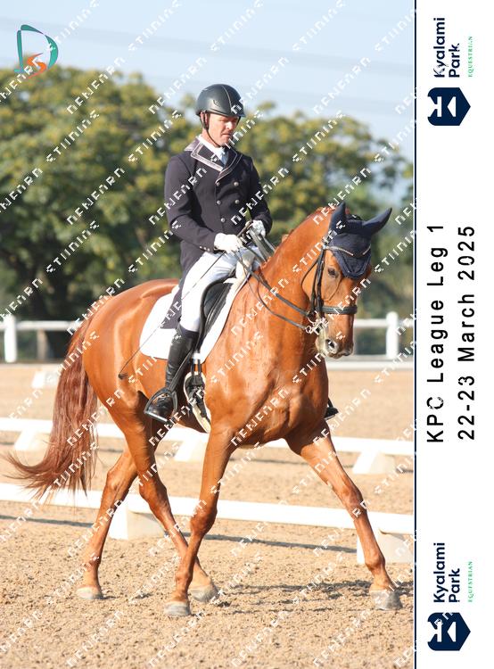8784443 - dbred9l6xuhhmyr