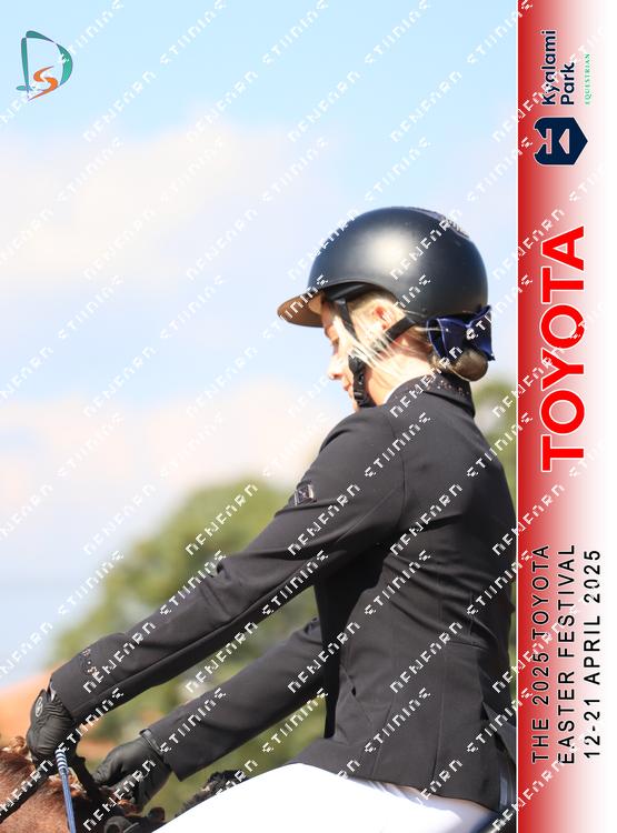 8998667 - rdzqqzrzy9ixlm5