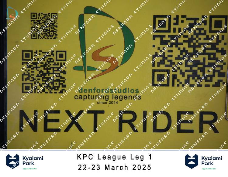 8753729 - jdwpaudirdix5mq