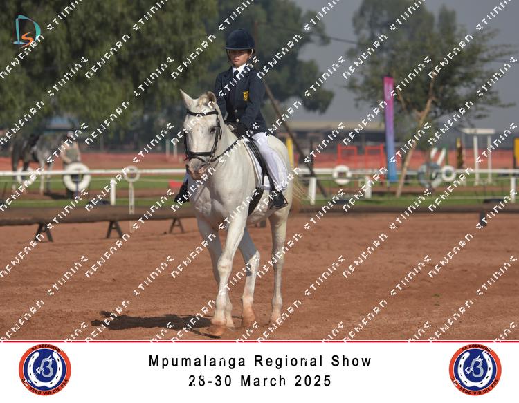 8853251 - jprzr2kvku9inma