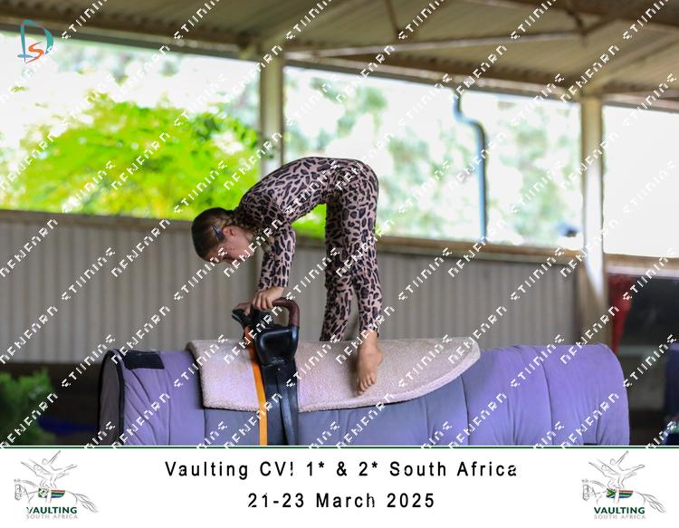 8778932 - vmfczvenk6rlwur