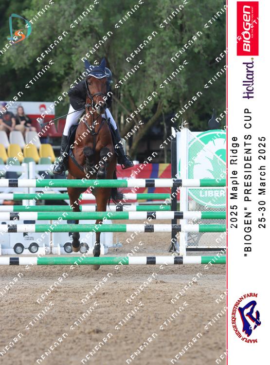 8814351 - zwcfpdxx9mg8qj4