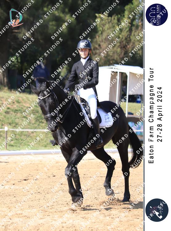 5291903 - ys8c5yra8meydal