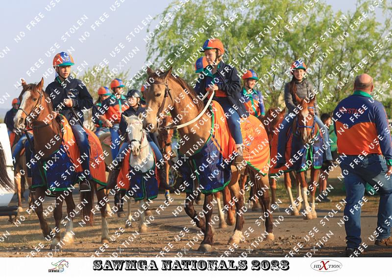 3722585 - skvhhox3w3