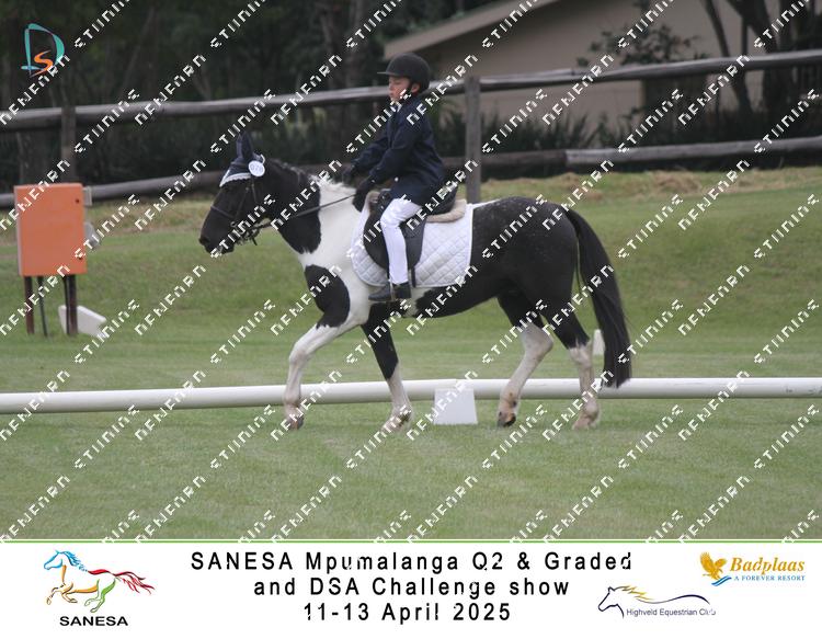 8967448 - sv2cxeraejiuwnd