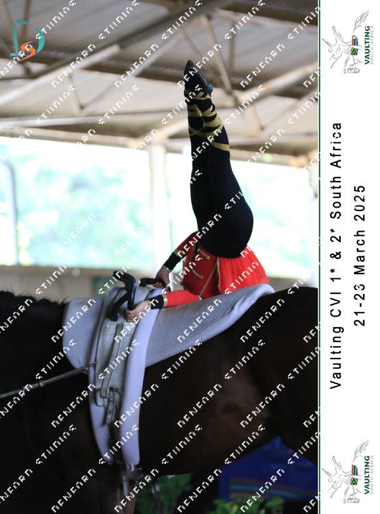 8752361 - v2zzcd8wlqswapy