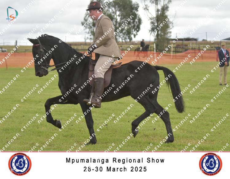 8856173 - fjmq8mtuynruzyc