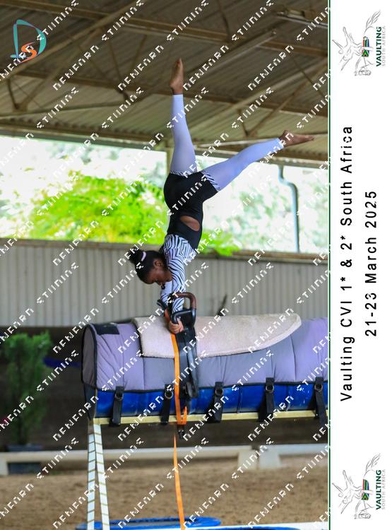 8779778 - khp8nqg43udp4ia