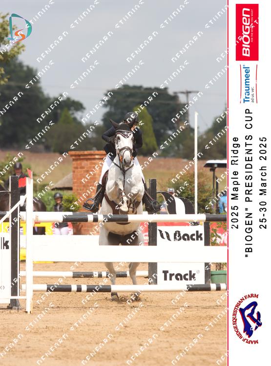 8847735 - qhfw8exkd8bh99v