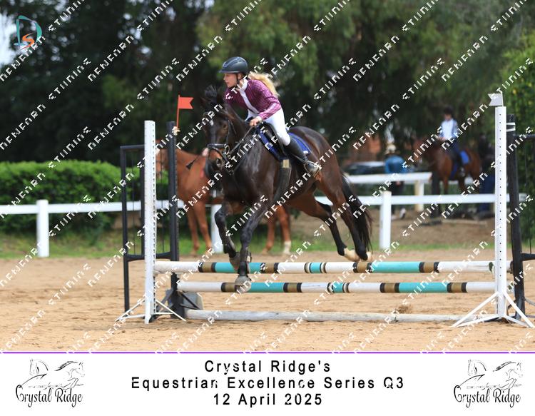 8966352 - vrfra4xy25gct7j