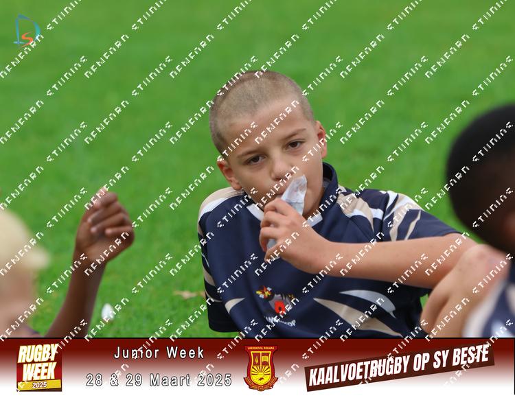 8821784 - rjashciyreqnrsn