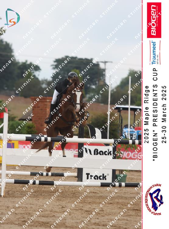 8847823 - juegarke38y7zee